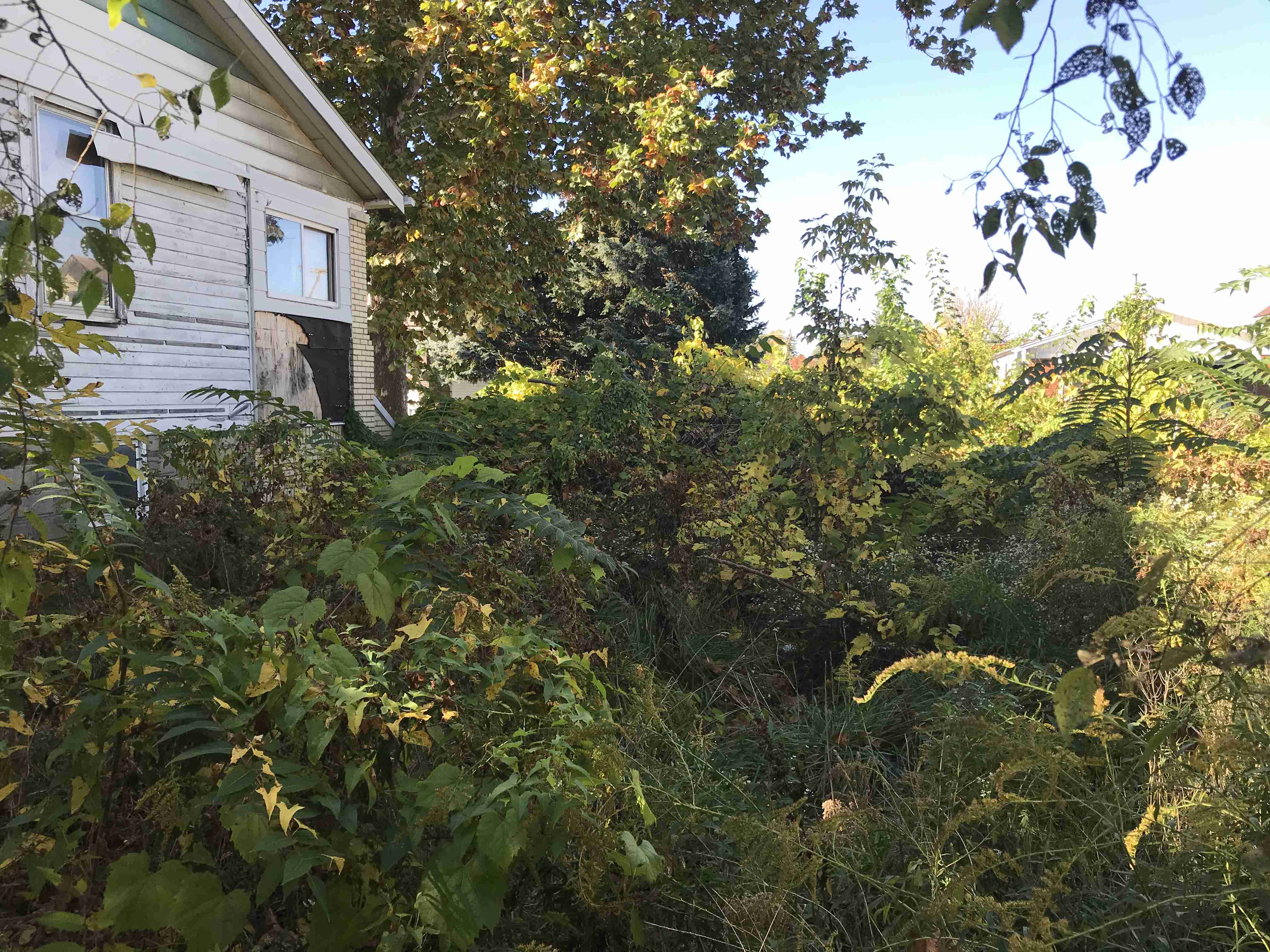 Photo Oct 13, 11 39 03 AM.jpg